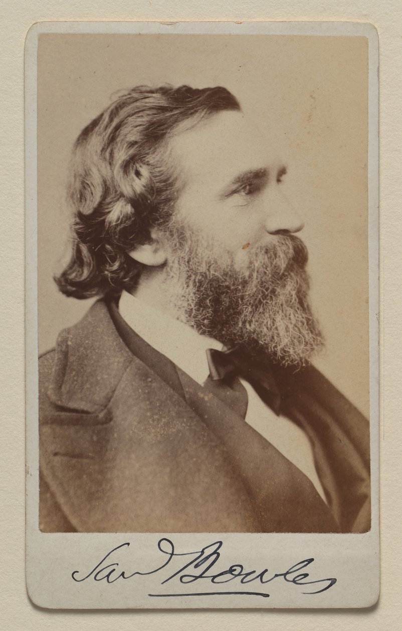 Samuel Bowles II - Napoleon Sarony
