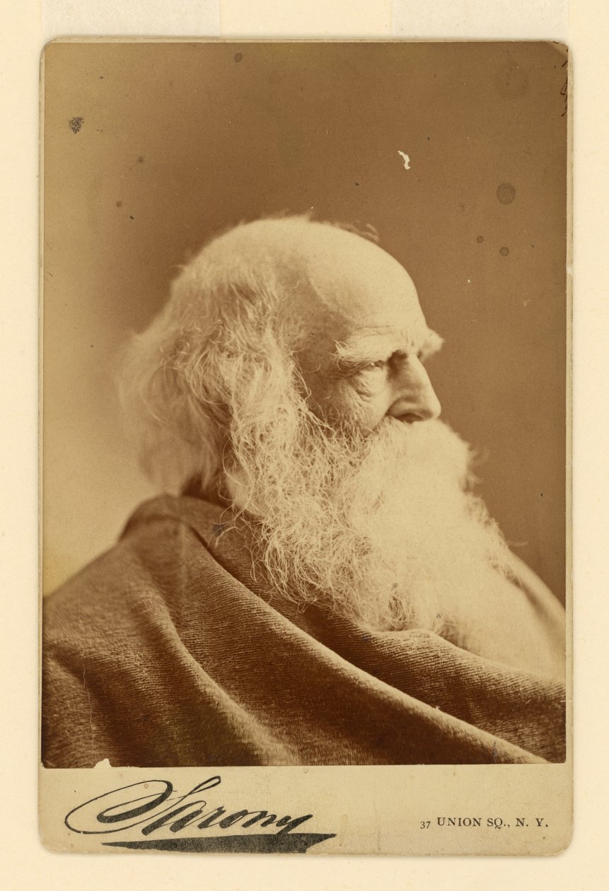 William Cullen Bryant - Napoleon Sarony