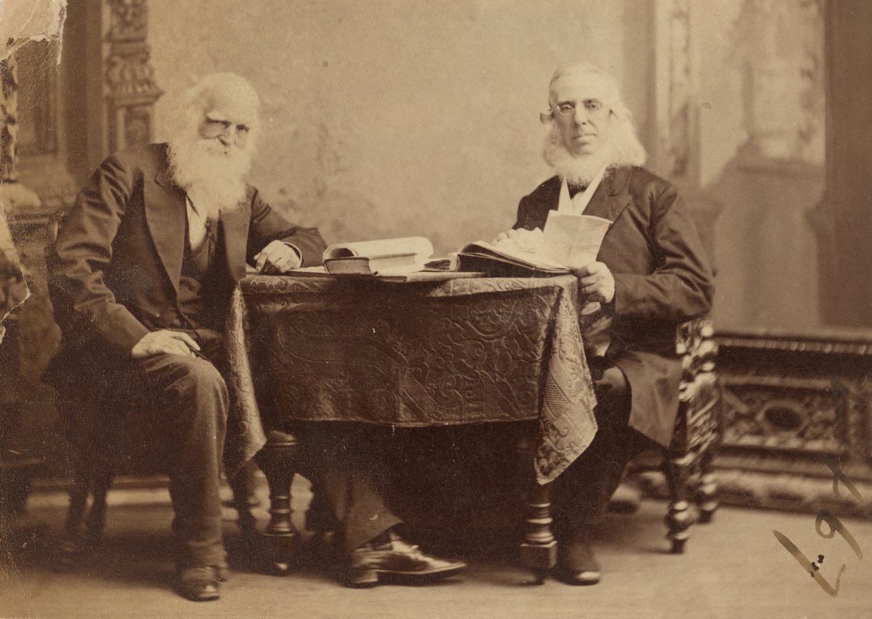 William Cullen Bryant et Peter Cooper - Napoleon Sarony