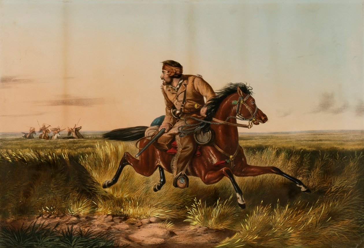 Un chasseur des prairies - l