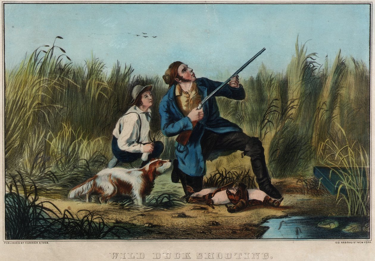 Tir aux canards sauvages - Nathaniel Currier