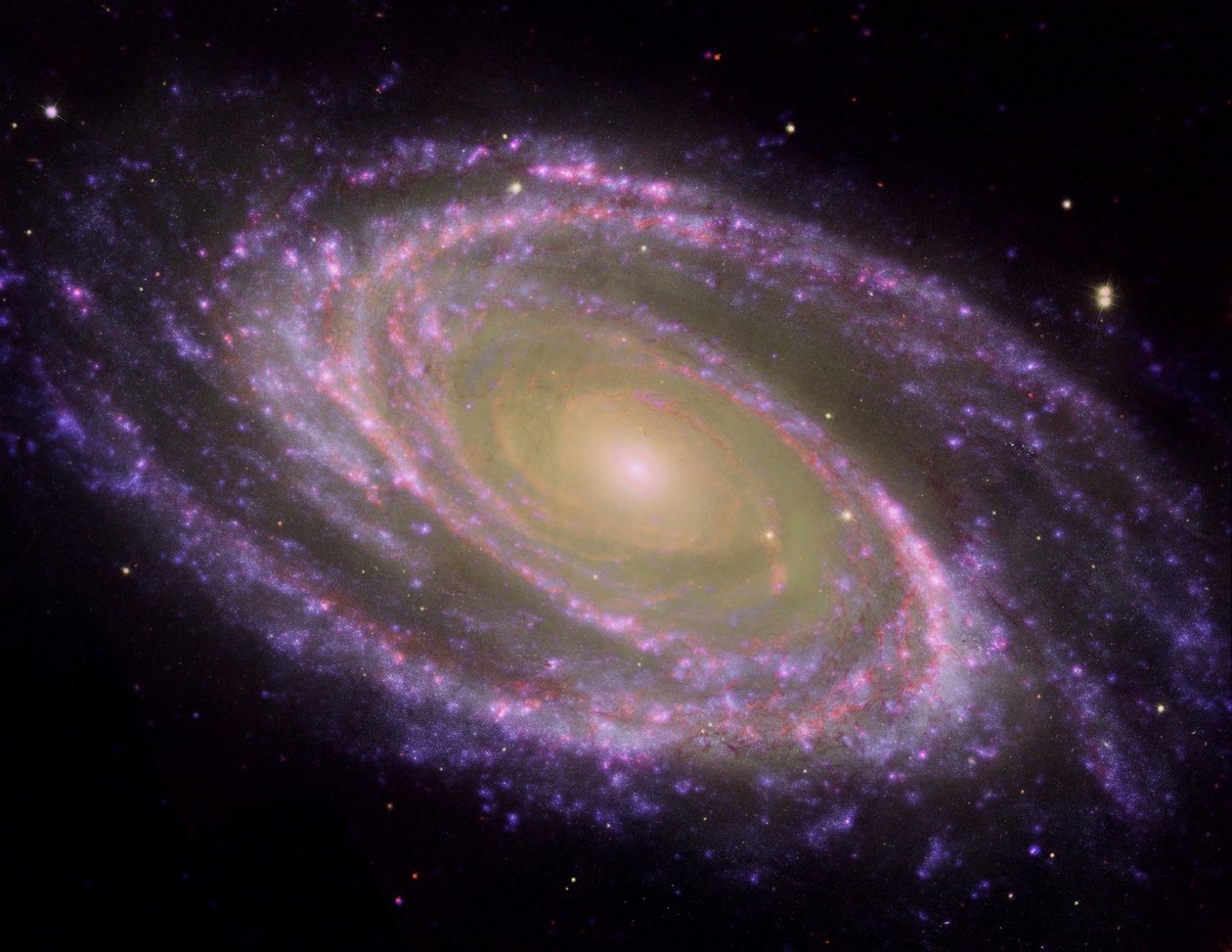 Galaxie spirale M81, inclinée à un angle oblique par rapport à la ligne de visée terrestre, vue en lumière multi-longueurs d