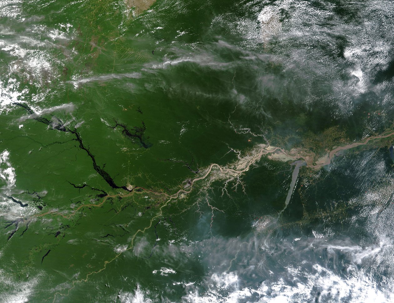Image satellite en vraies couleurs du fleuve Amazone, par lequel coule un cinquième de l