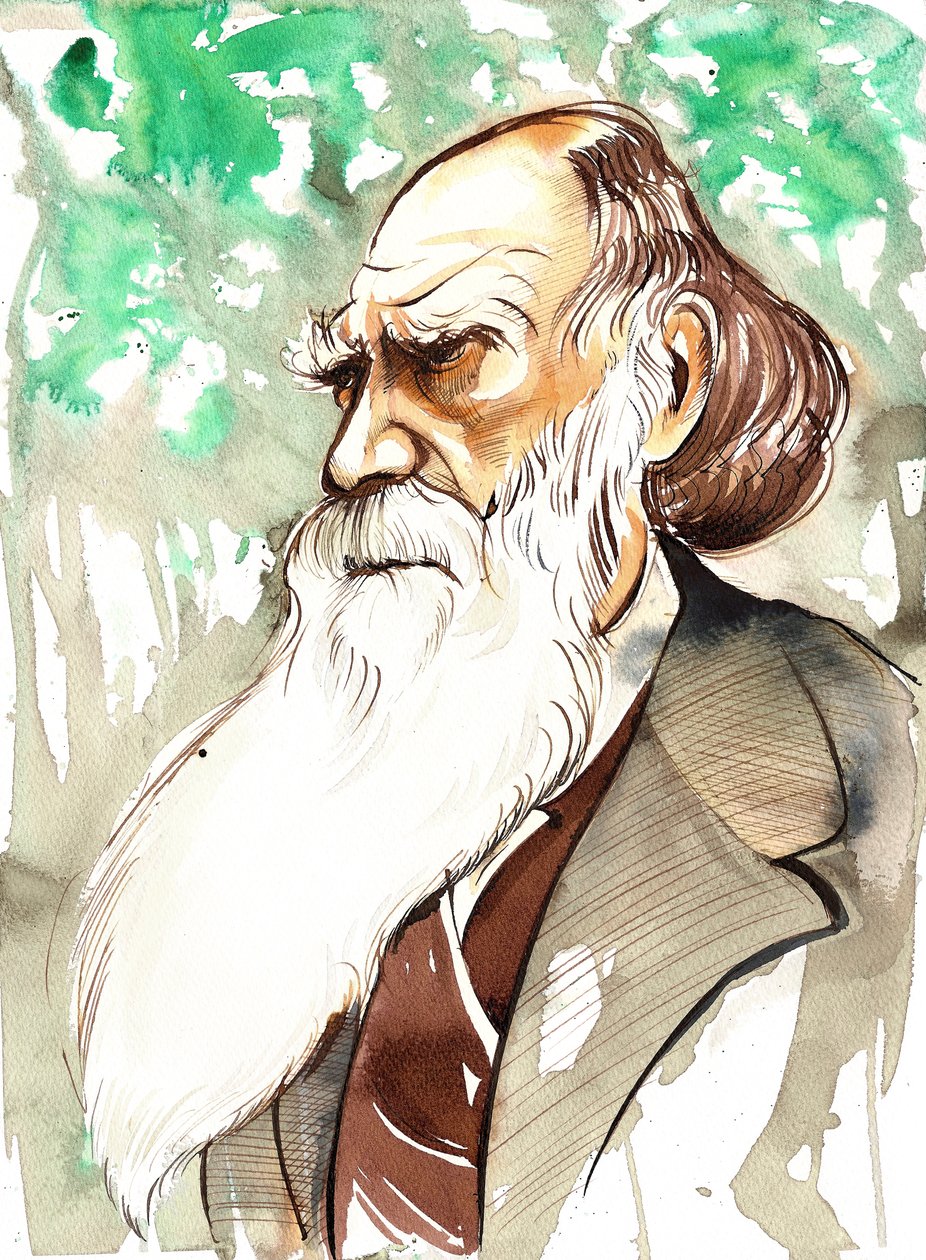 Charles Darwin (naturaliste et écrivain anglais, 1809-82) portrait - Neale Osborne