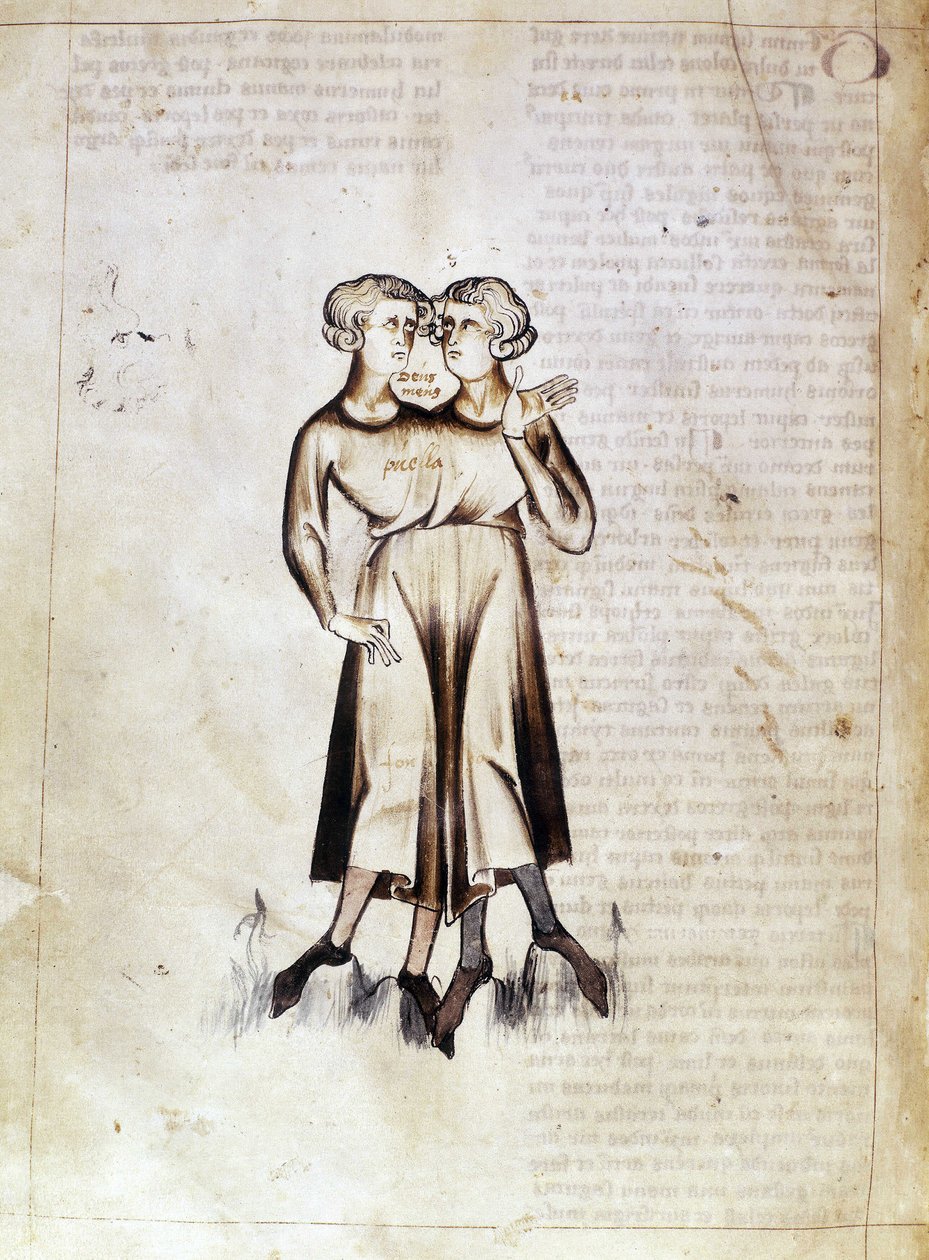 Dessin des Gémeaux, d