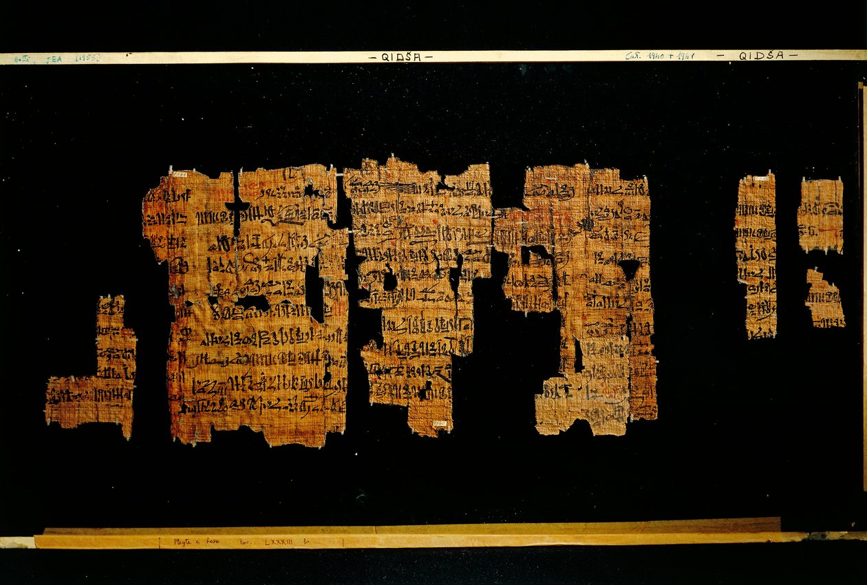 Fragments du document contenant les actes du pharaon Thoutmôsis III (papyrus) - New Kingdom Egyptian