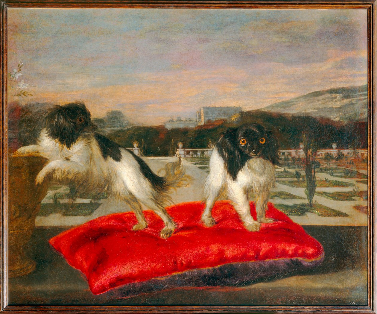 Deux petits chiens sur la terrasse d