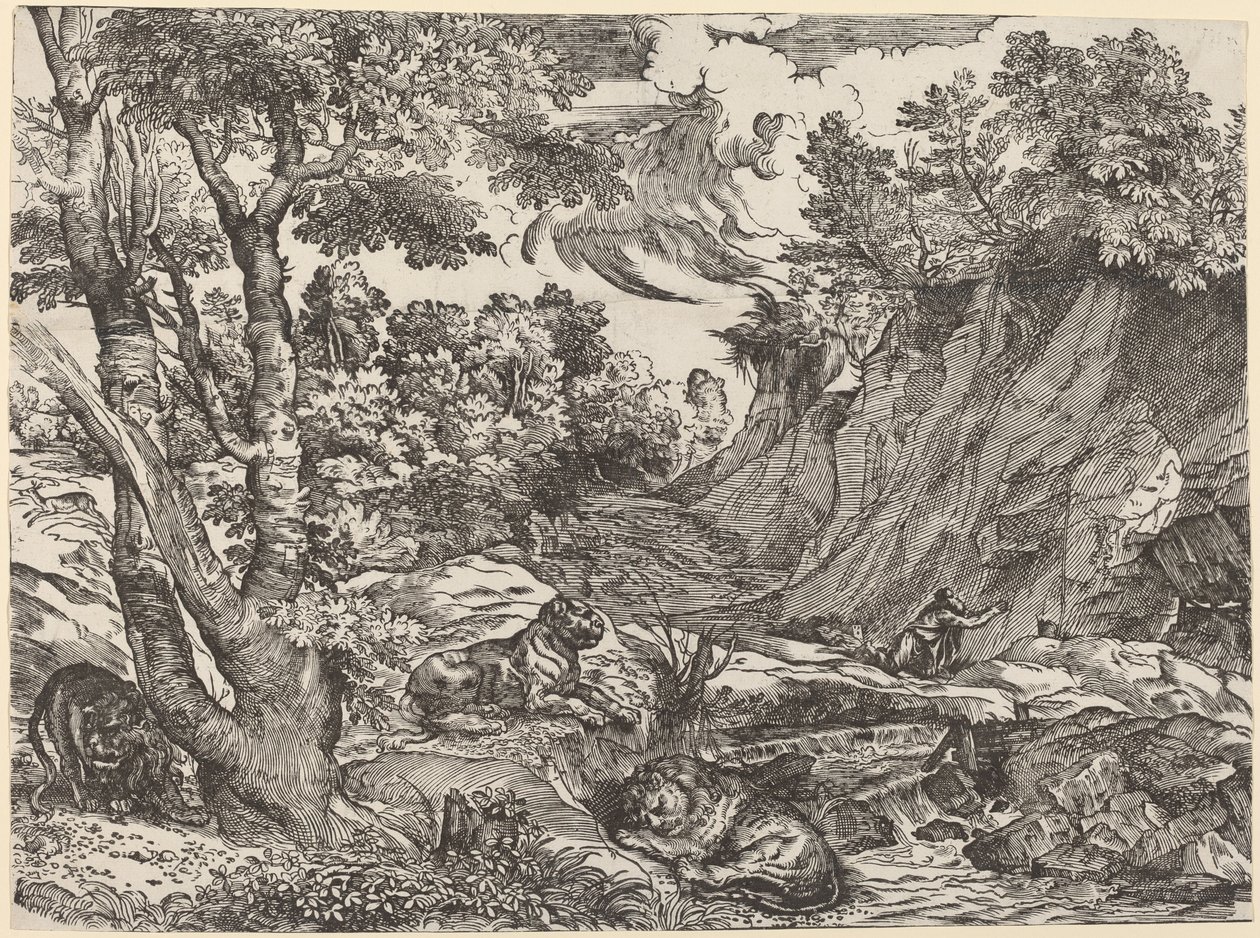 Saint Jérôme dans le désert - Niccolò Boldrini after Titian