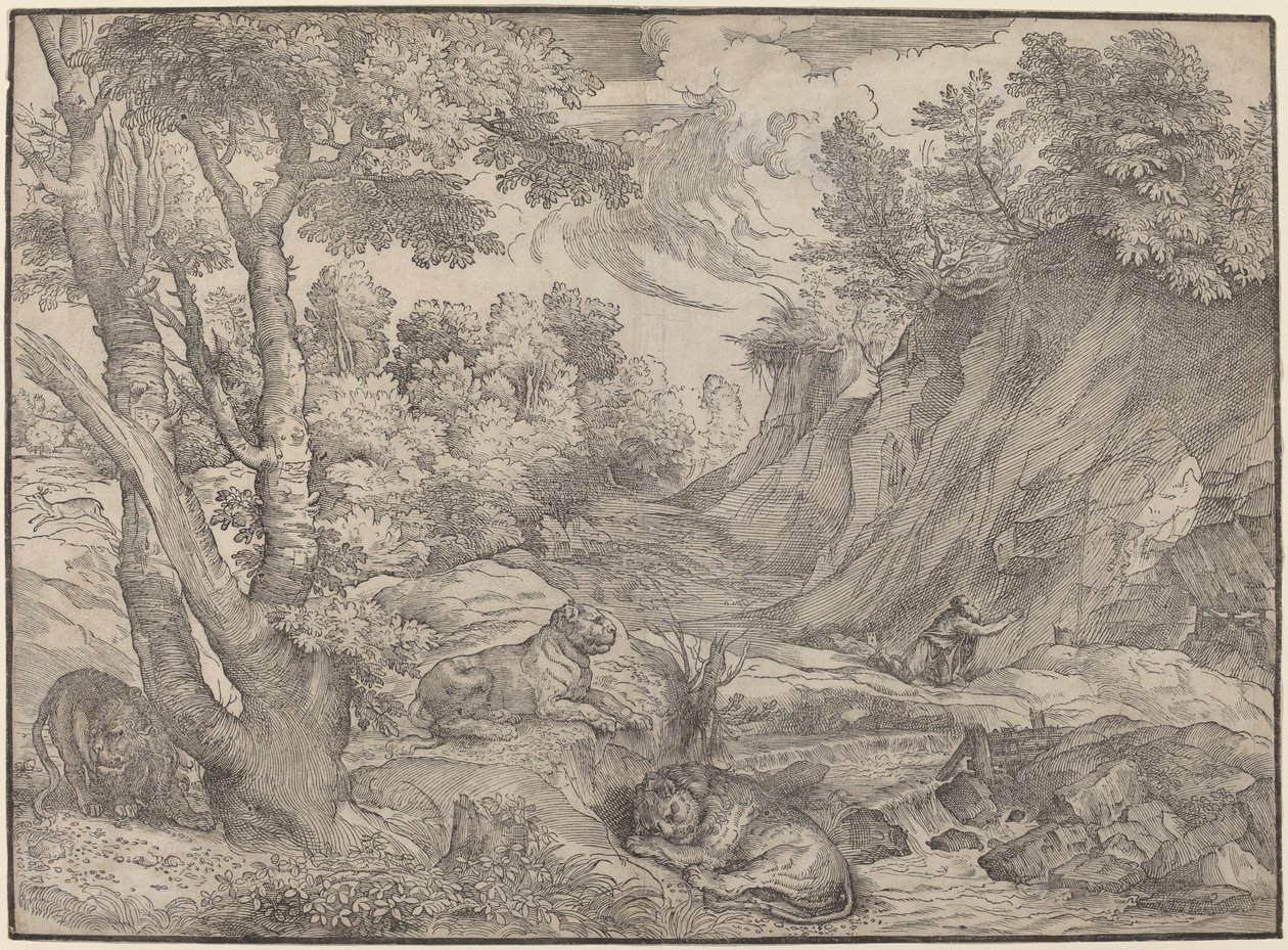 Saint Jérôme dans le désert - Niccolò Boldrini after Titian