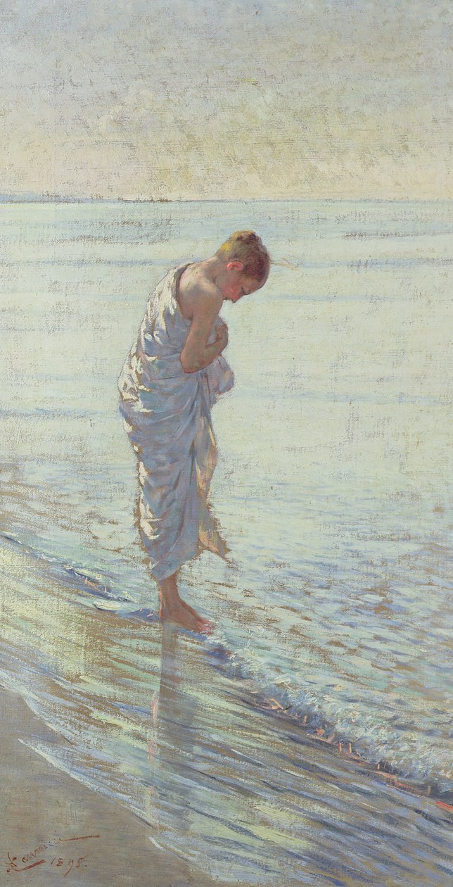 Une coquille, 1895 - Niccolo Cannicci