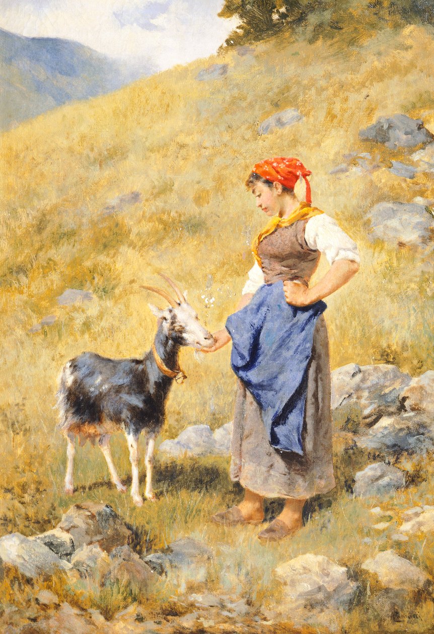 Bergère - Niccolo Cannicci