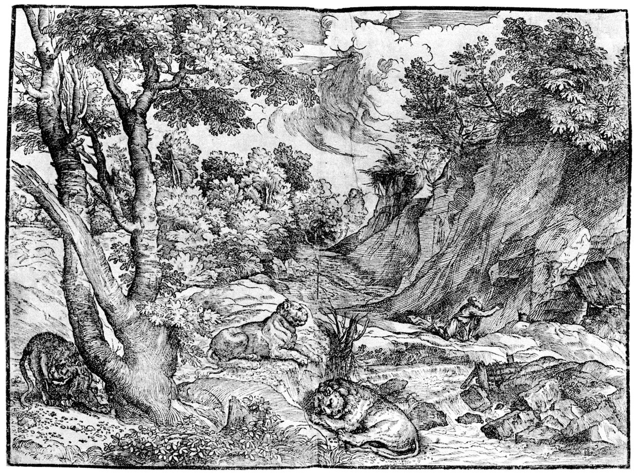 Grand paysage avec Saint Jérôme - Nicolò Boldrini