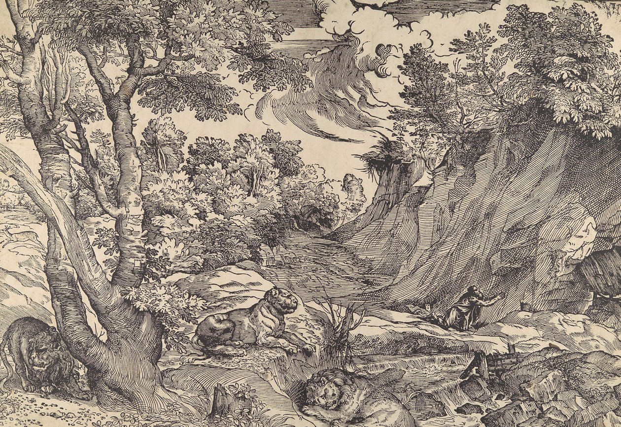 Saint Jérôme dans le Désert - Nicolò Boldrini.