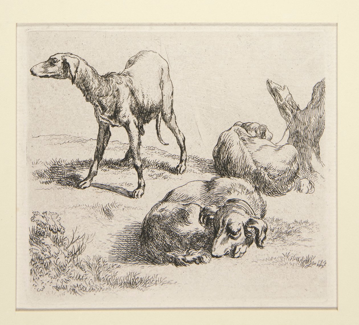 2 gravures de la série Divers Animaux, avec l