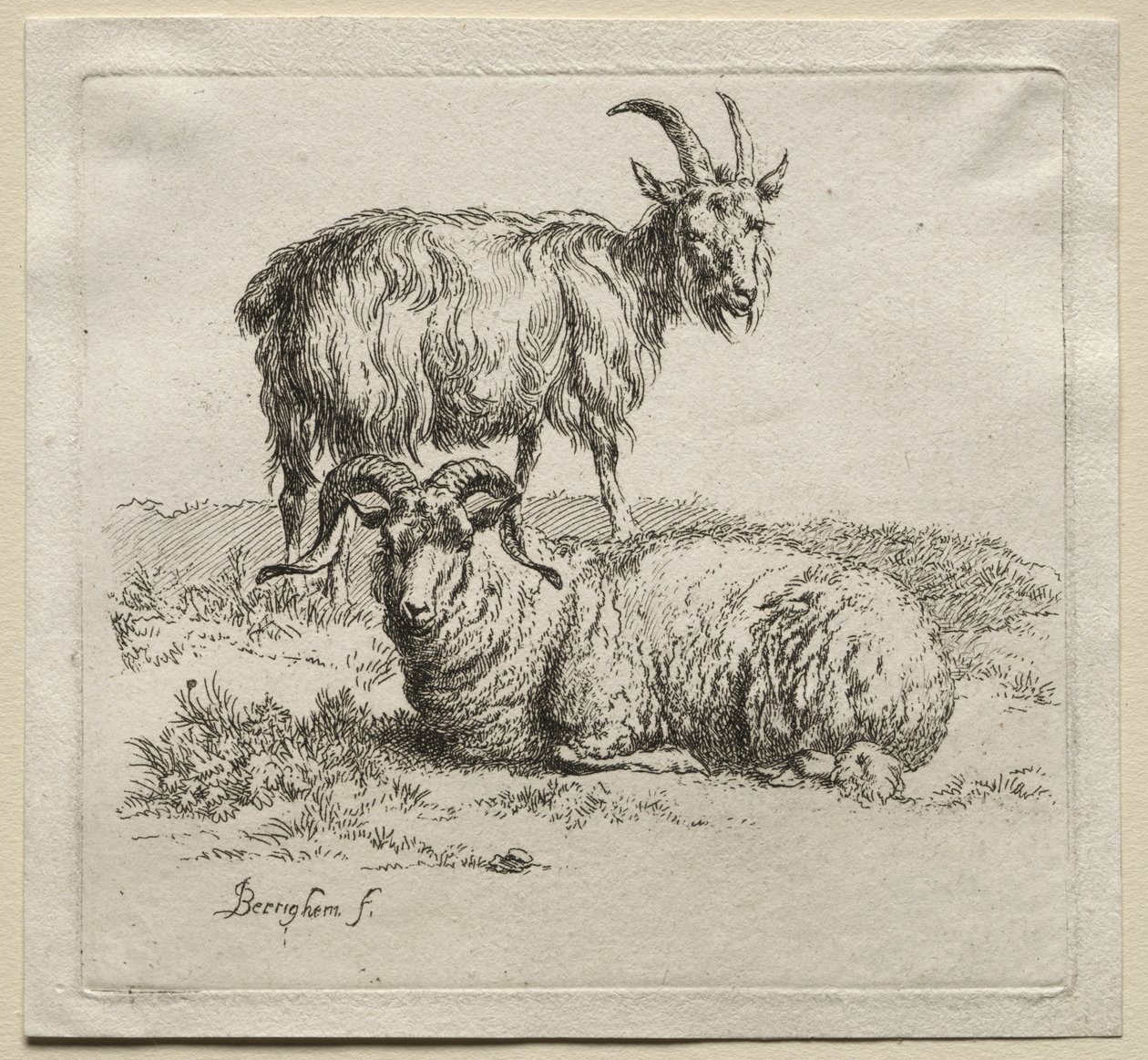 Animalia : Bélier et Chèvre - Nicolaes Berchem