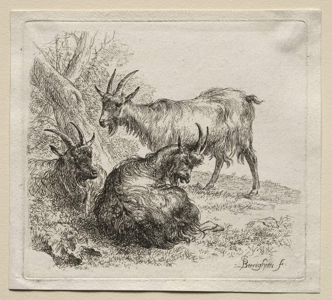 Animalia : Trois chèvres - Nicolaes Berchem