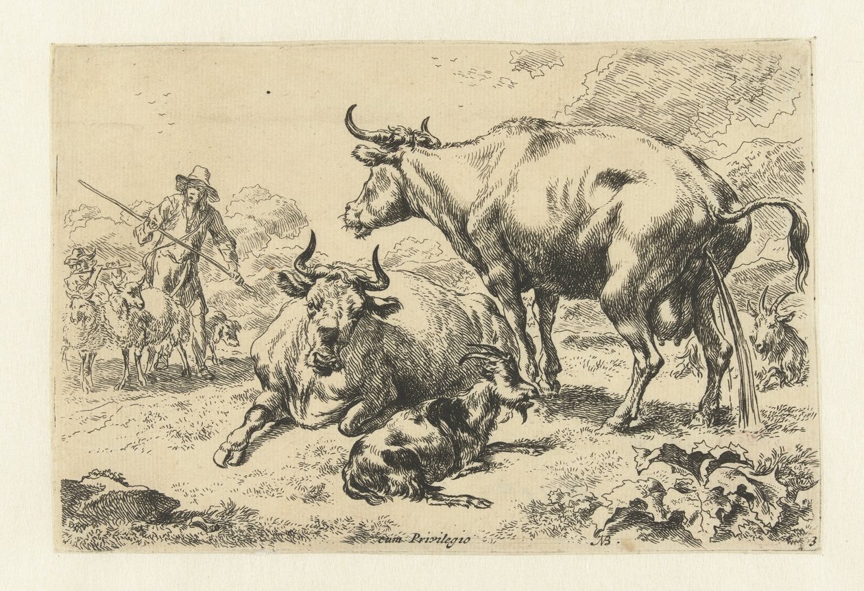 Vache couchée et vache urinant - Nicolaes Pietersz Berchem