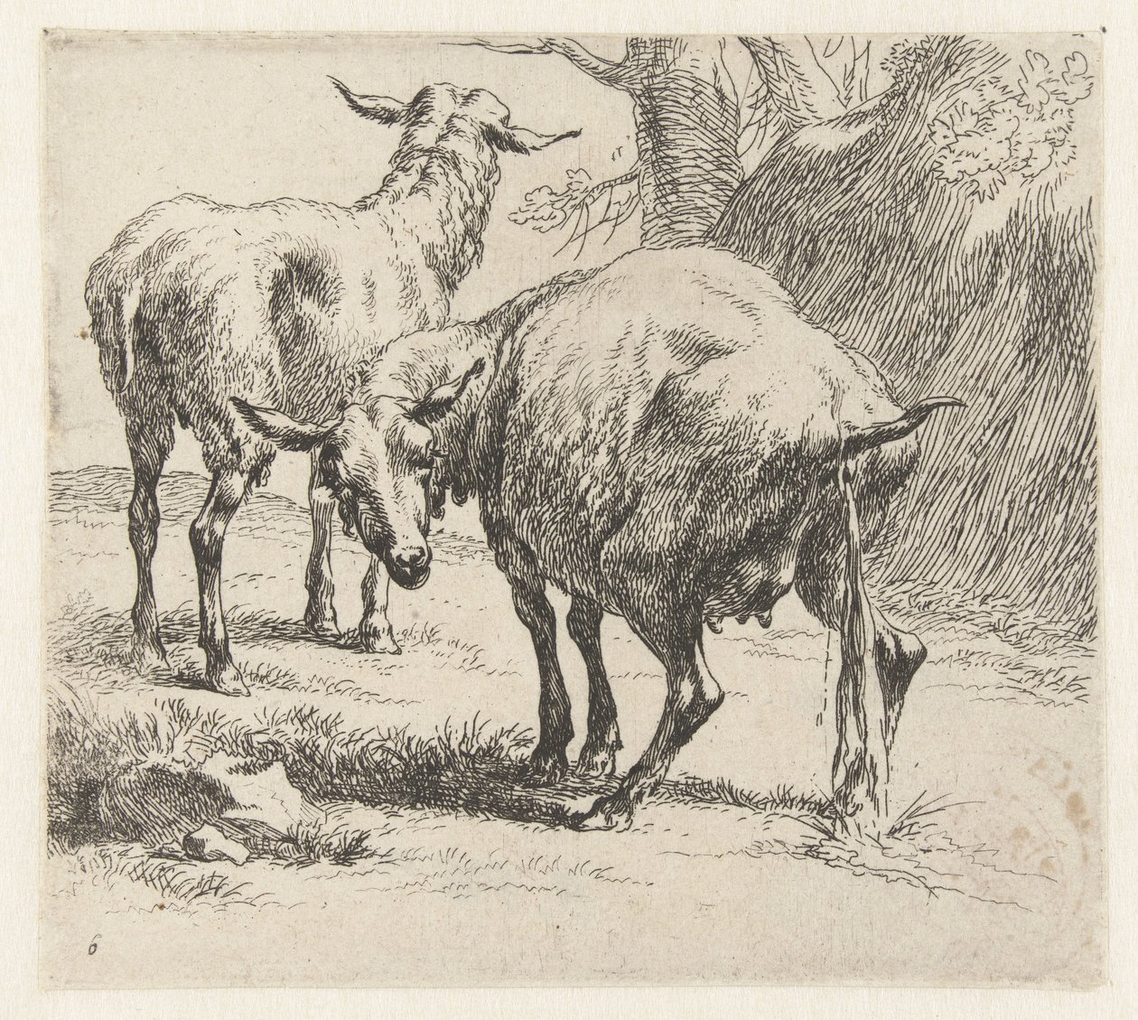 Brebis urinant et un mouton - Nicolaes Pietersz Berchem