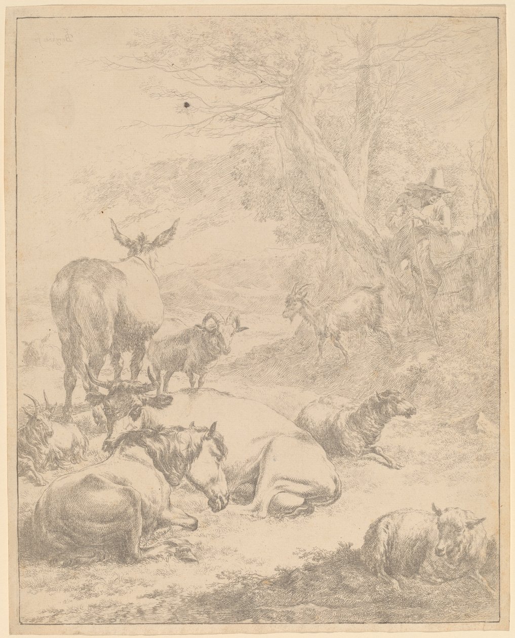 Troupeau au repos - Nicolaes Pietersz Berchem