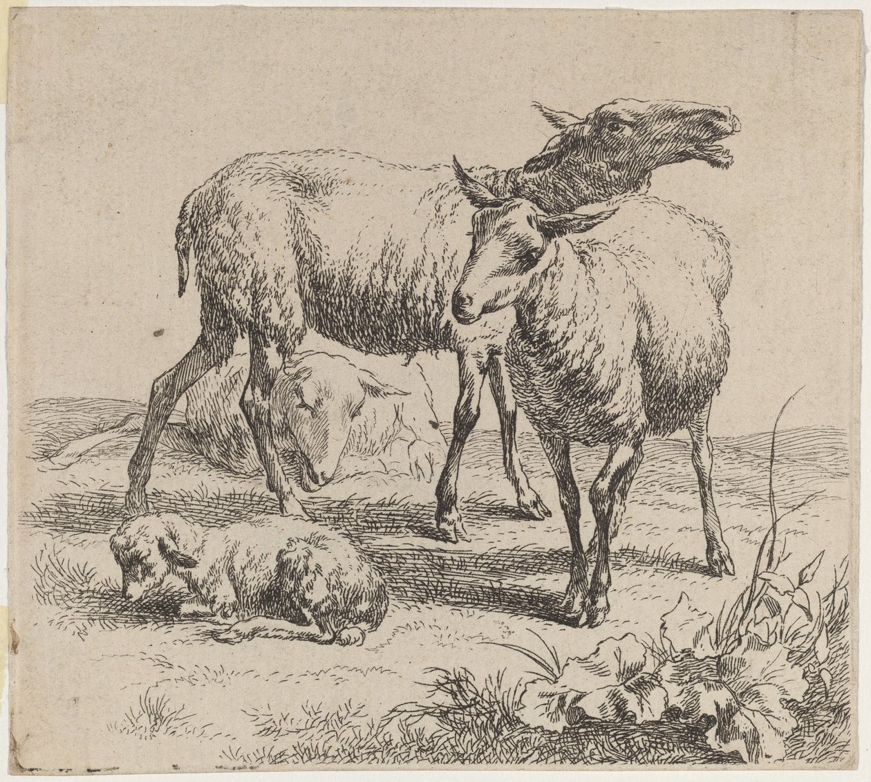 Trois moutons et un agneau - Nicolaes Pietersz Berchem
