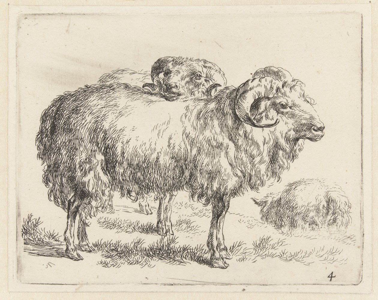Deux béliers et un mouton - Nicolaes Pietersz Berchem