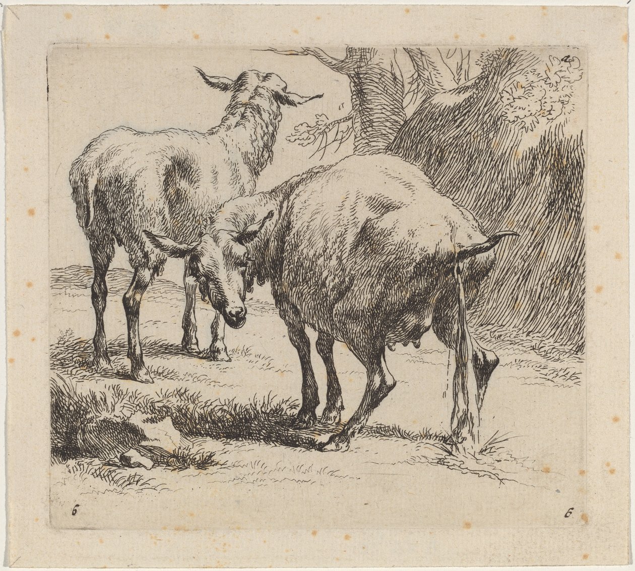 Deux moutons, un pissant - Nicolaes Pietersz Berchem