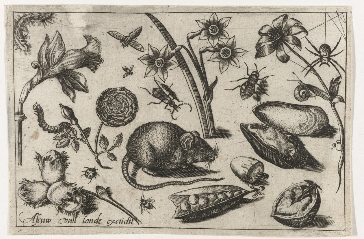 Fleurs, une souris, insectes et une moule - Nicolaes de Bruyn (possibly)