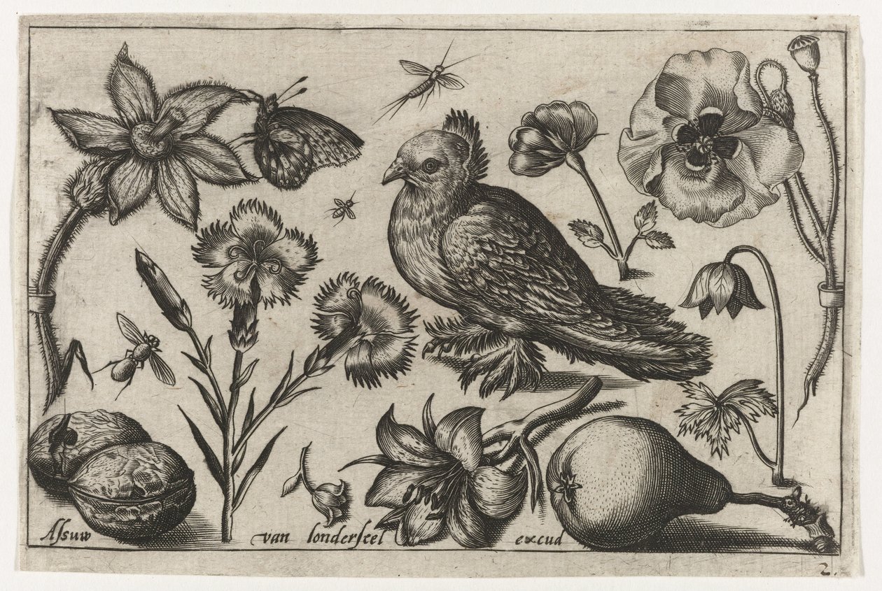 Fleurs, une poire et une colombe (Vogels, bloemen, insecten etc.) - Nicolaes de Bruyn (possibly)