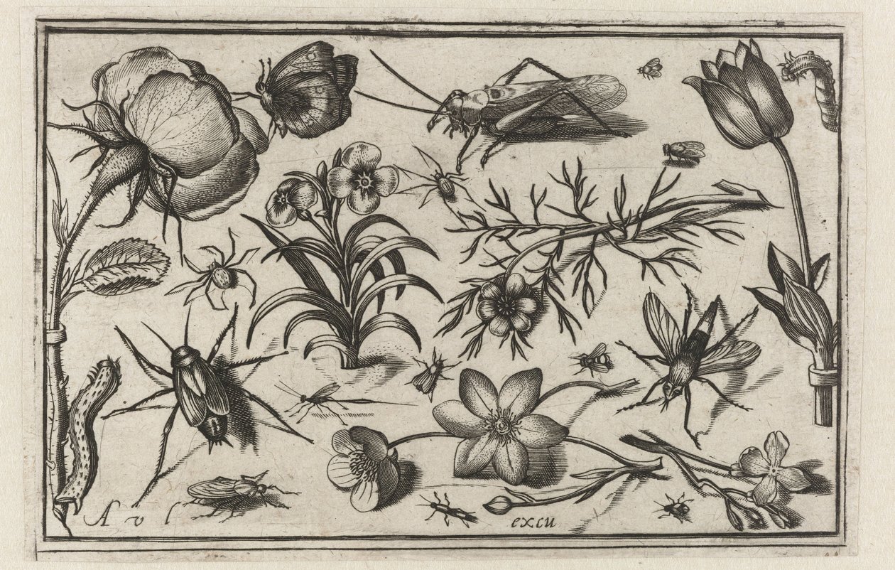 Fleurs et insectes - Nicolaes de Bruyn (possibly)