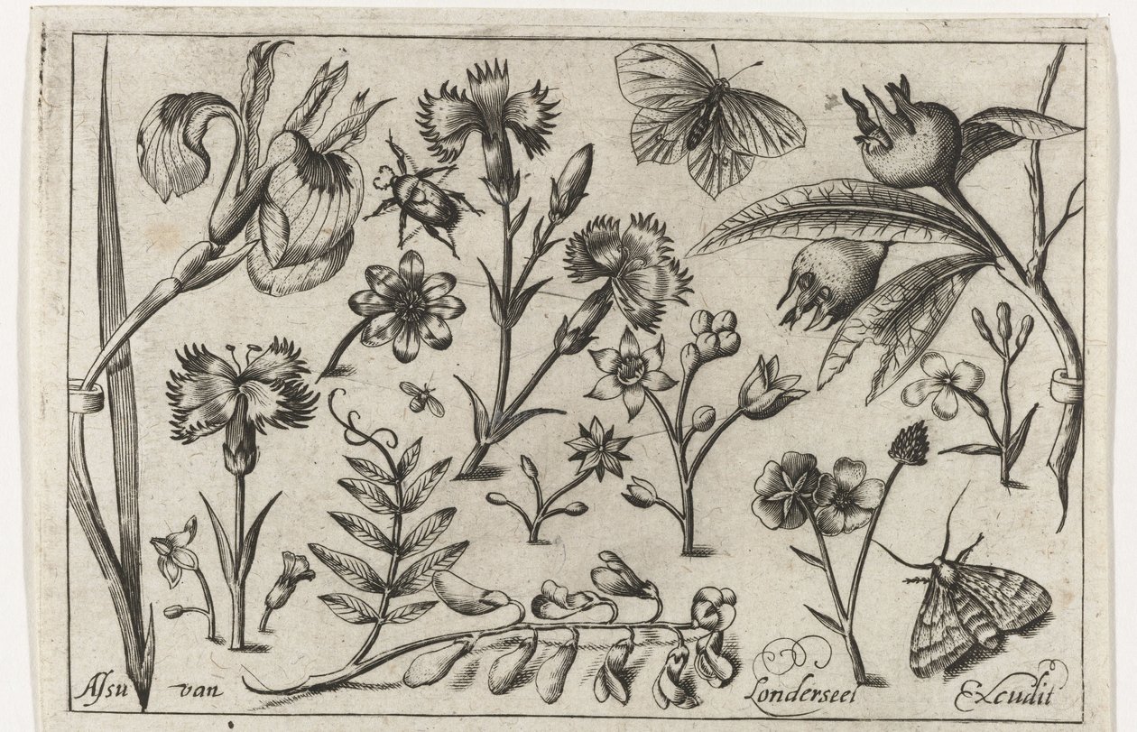 Fleurs et papillons (Vogels, bloemen, insecten etc.) - Nicolaes de Bruyn (possibly)