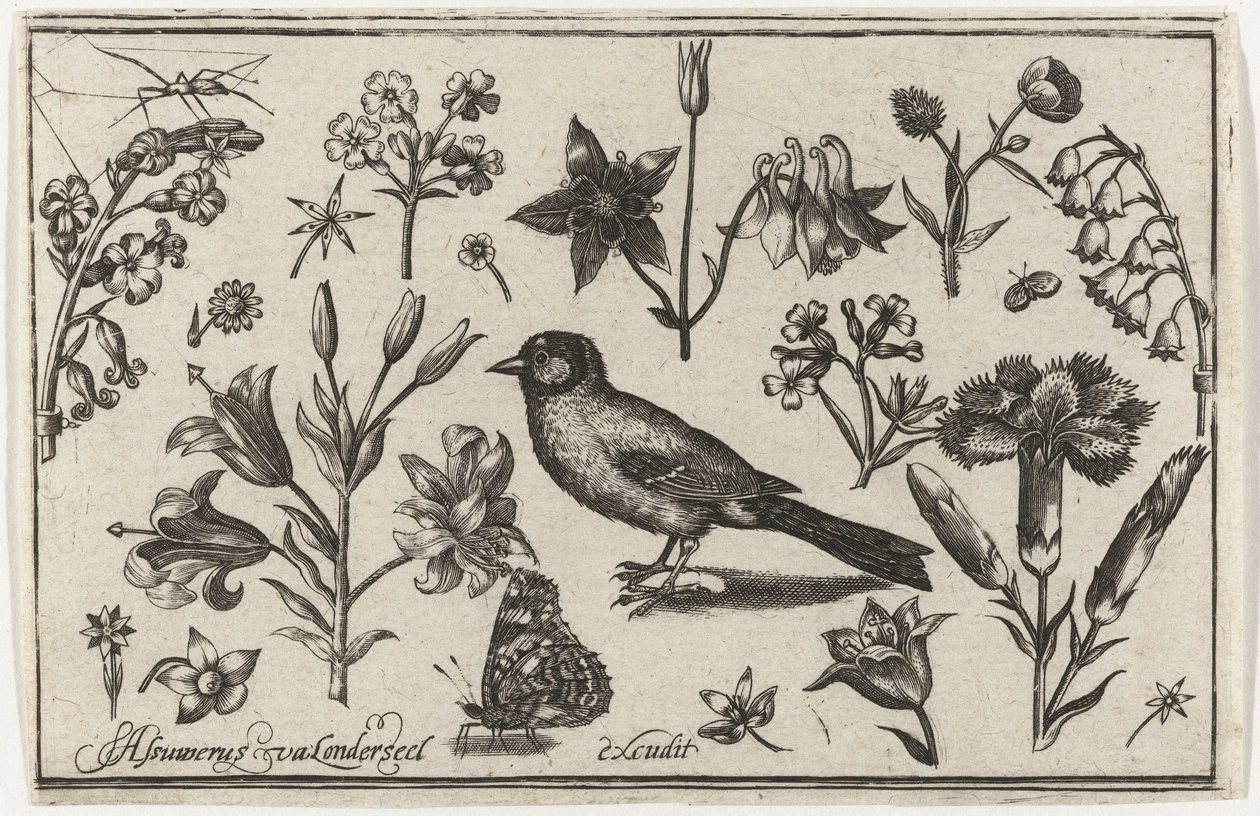 Fleurs, papillon et un oiseau - Nicolaes de Bruyn (possibly)