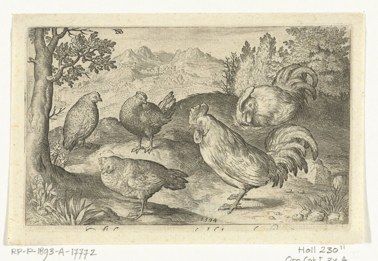 Trois poules et deux coqs - Nicolaes de Bruyn