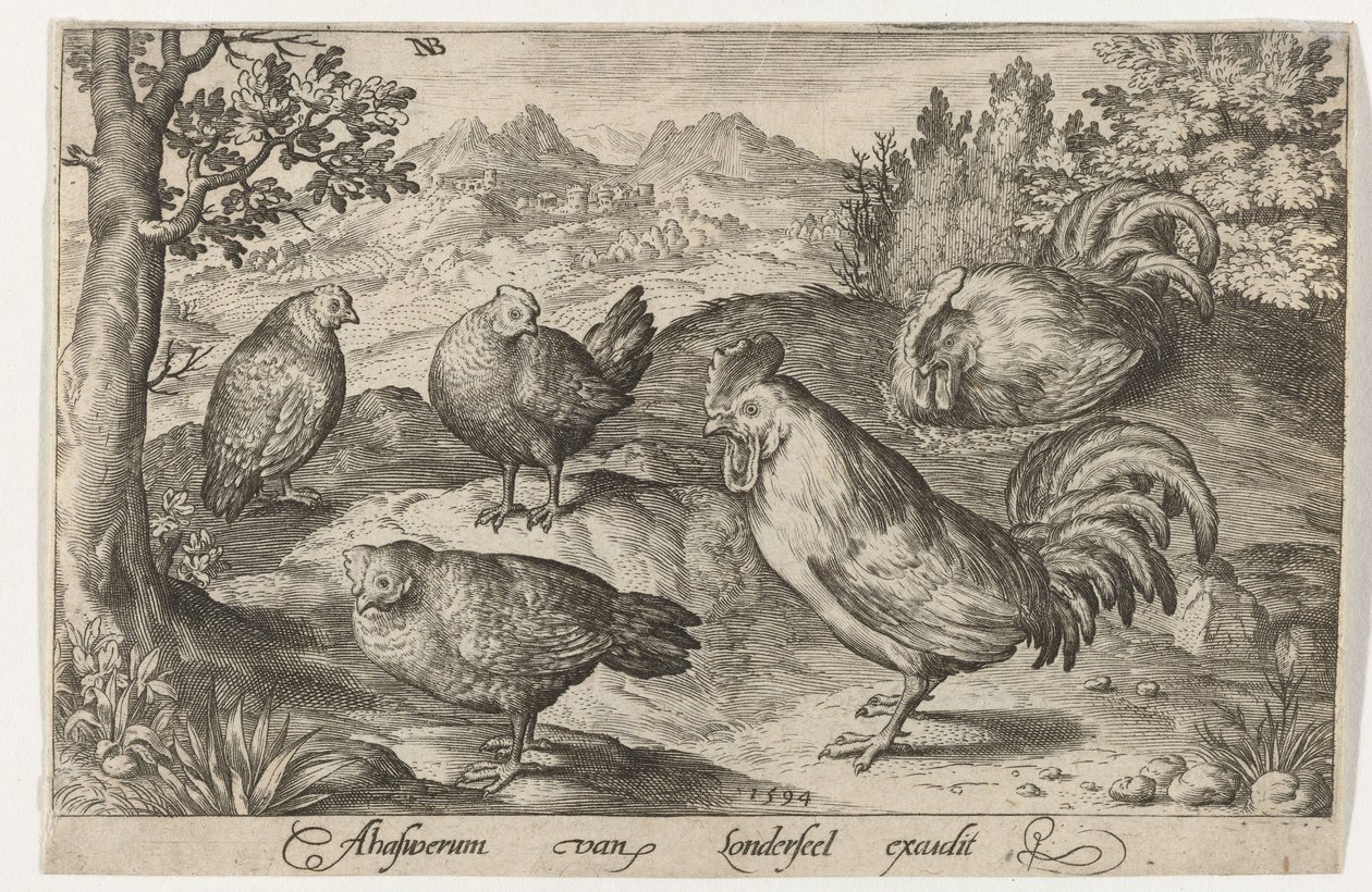 Trois poules et deux coqs, Oiseaux et insectes (titre de la série) - Nicolaes de Bruyn