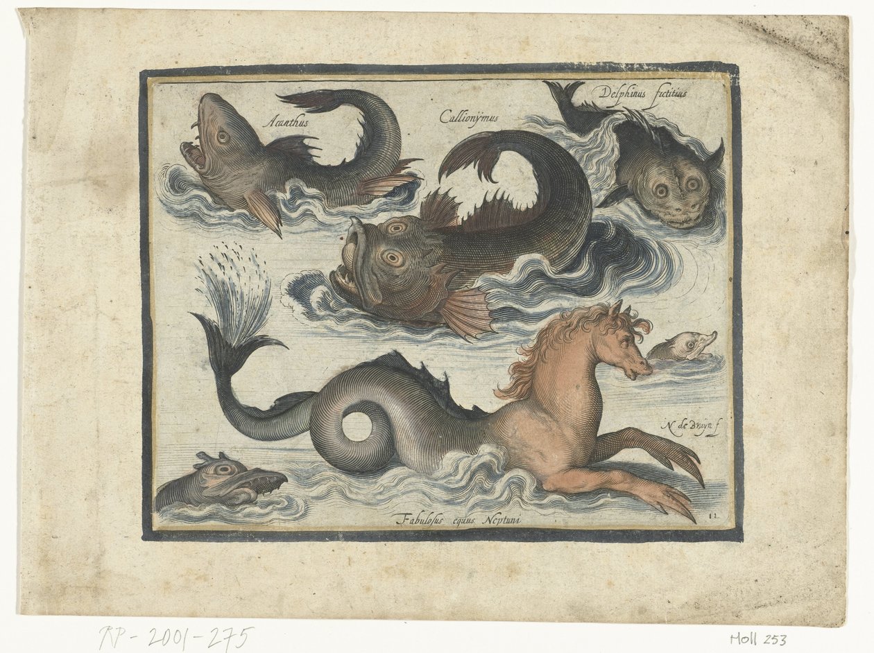 Animaux aquatiques fantastiques, y compris un hippocampe - Nicolaes de Bruyn