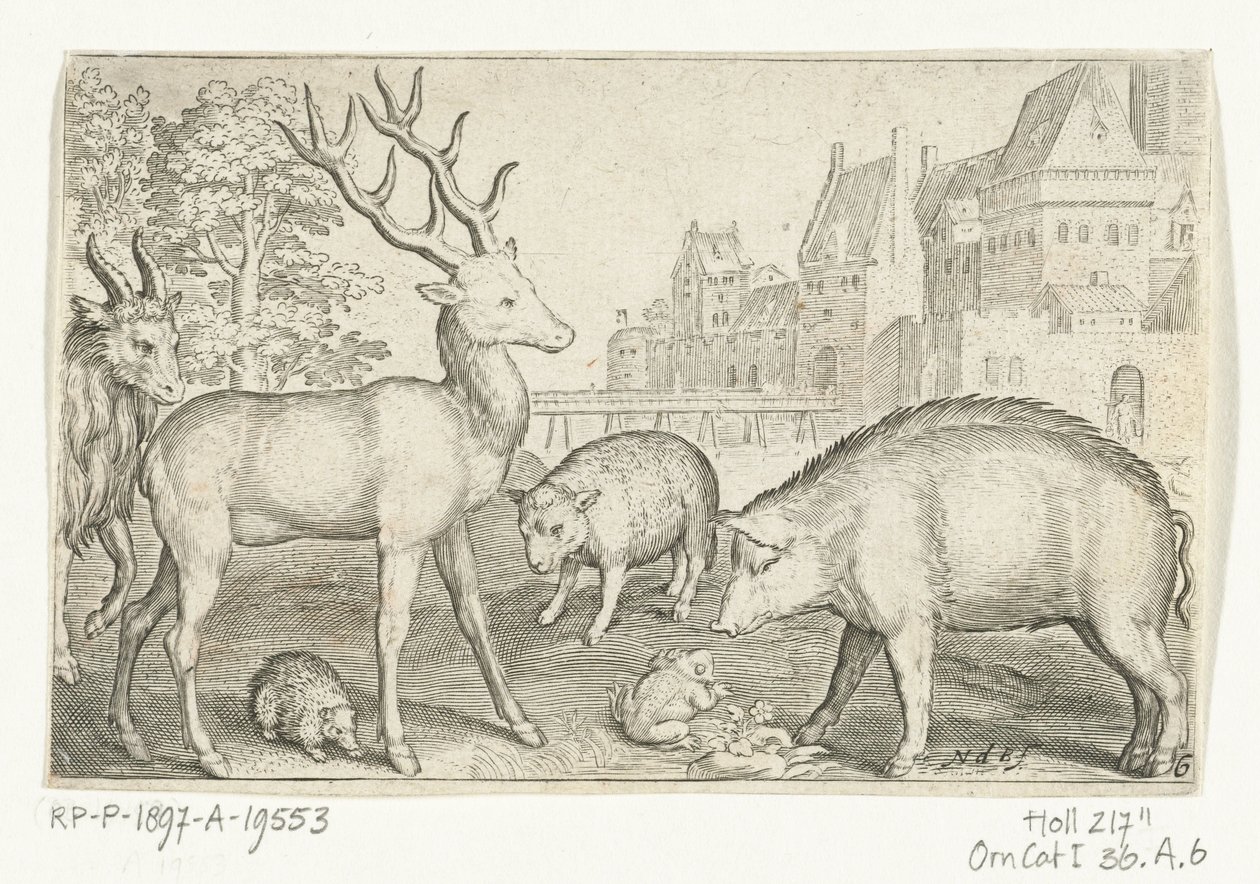 Cerf, hérisson, mouton, grenouille et cochon - Nicolaes de Bruyn