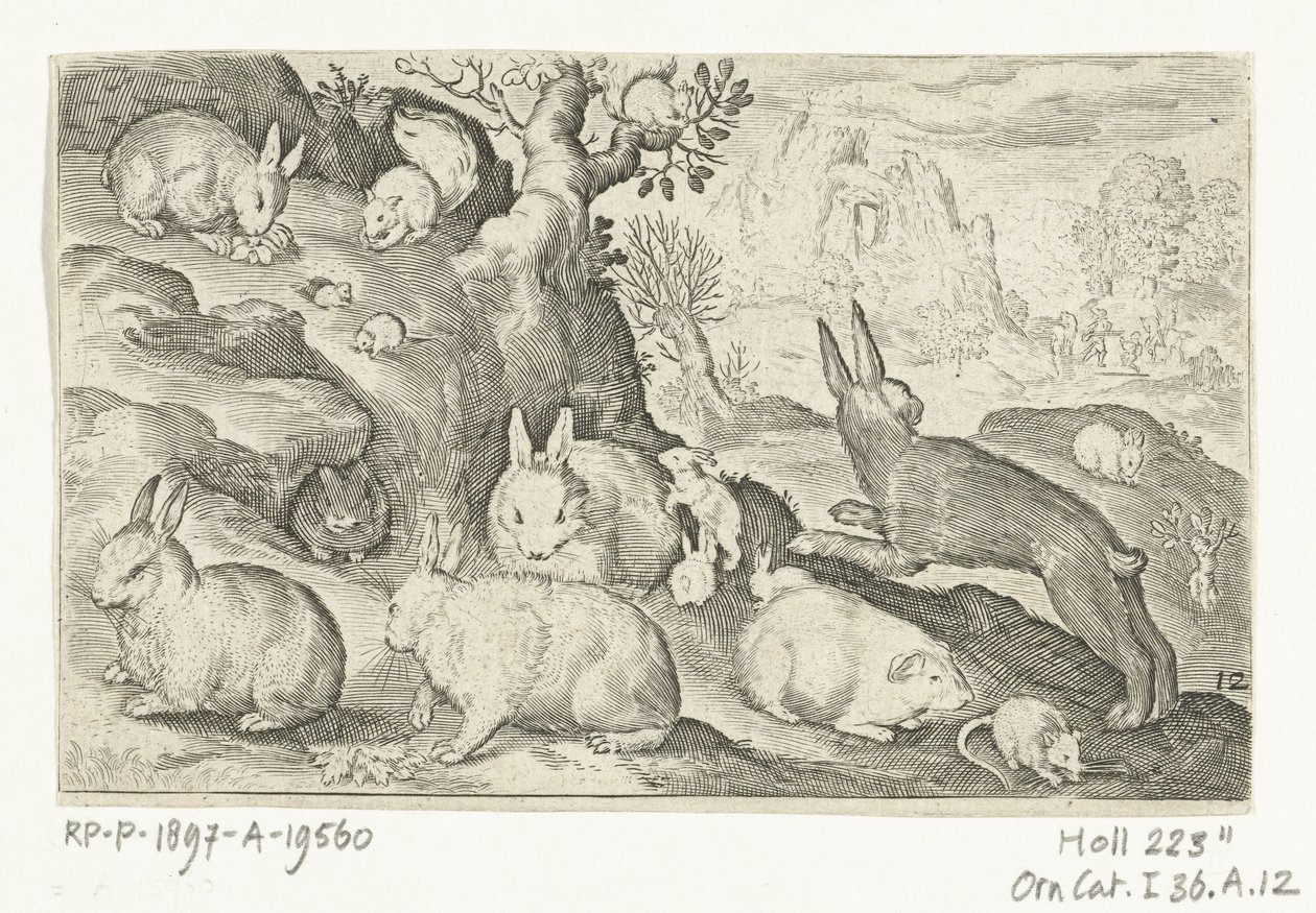 Lapins, écureuil, cochon d