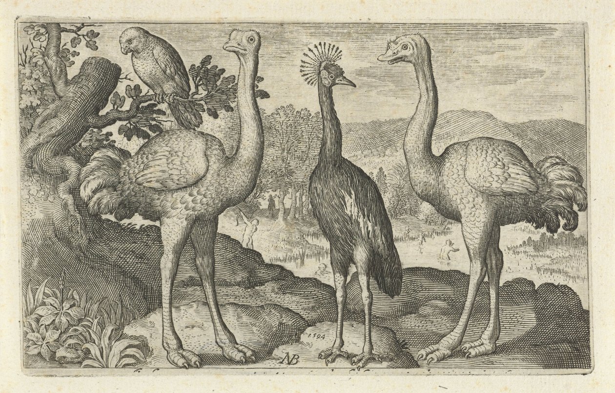 Grue couronnée entre deux autruches. Oiseaux et insectes - Nicolaes de Bruyn