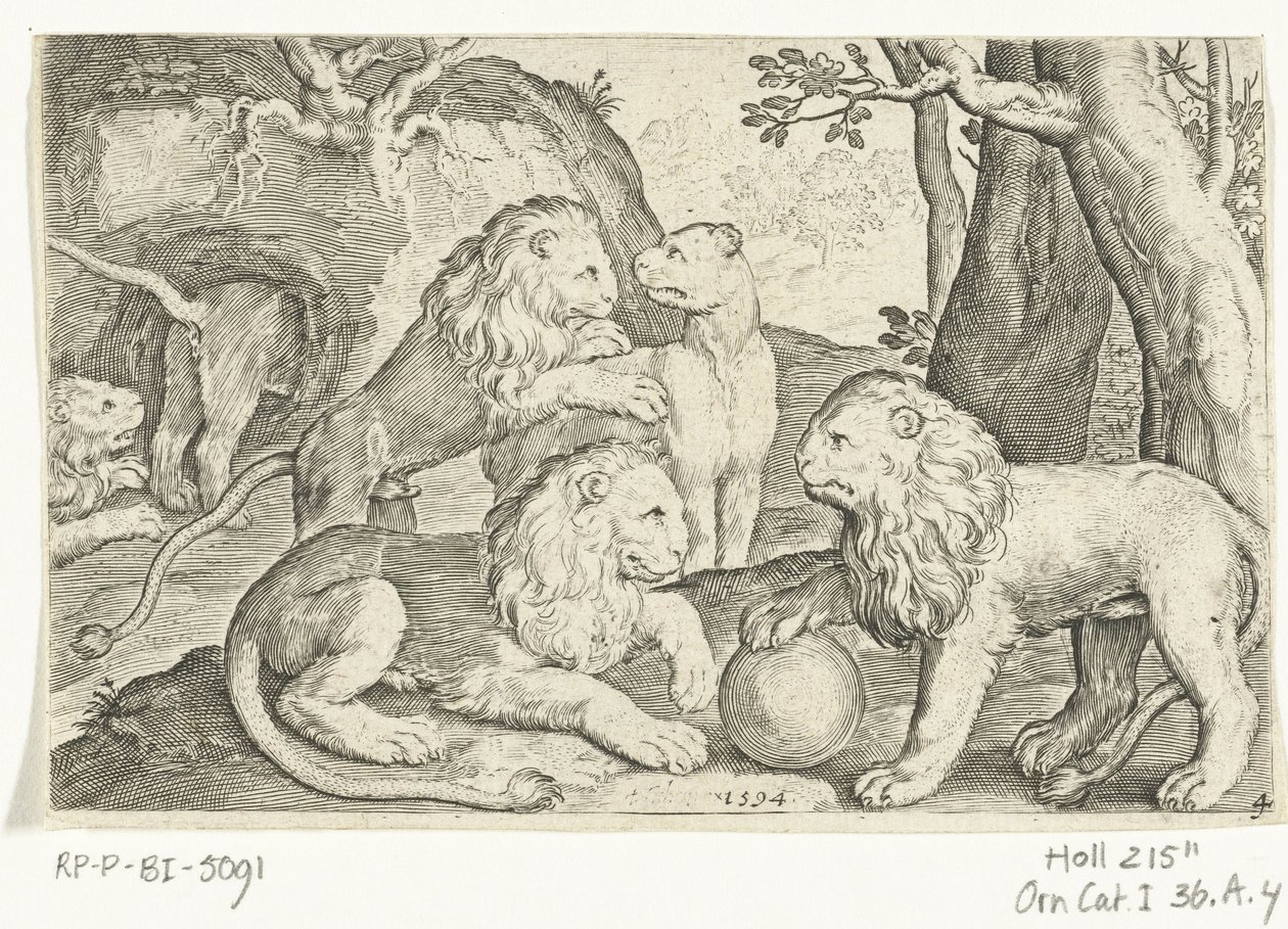 Lions - Nicolaes de Bruyn