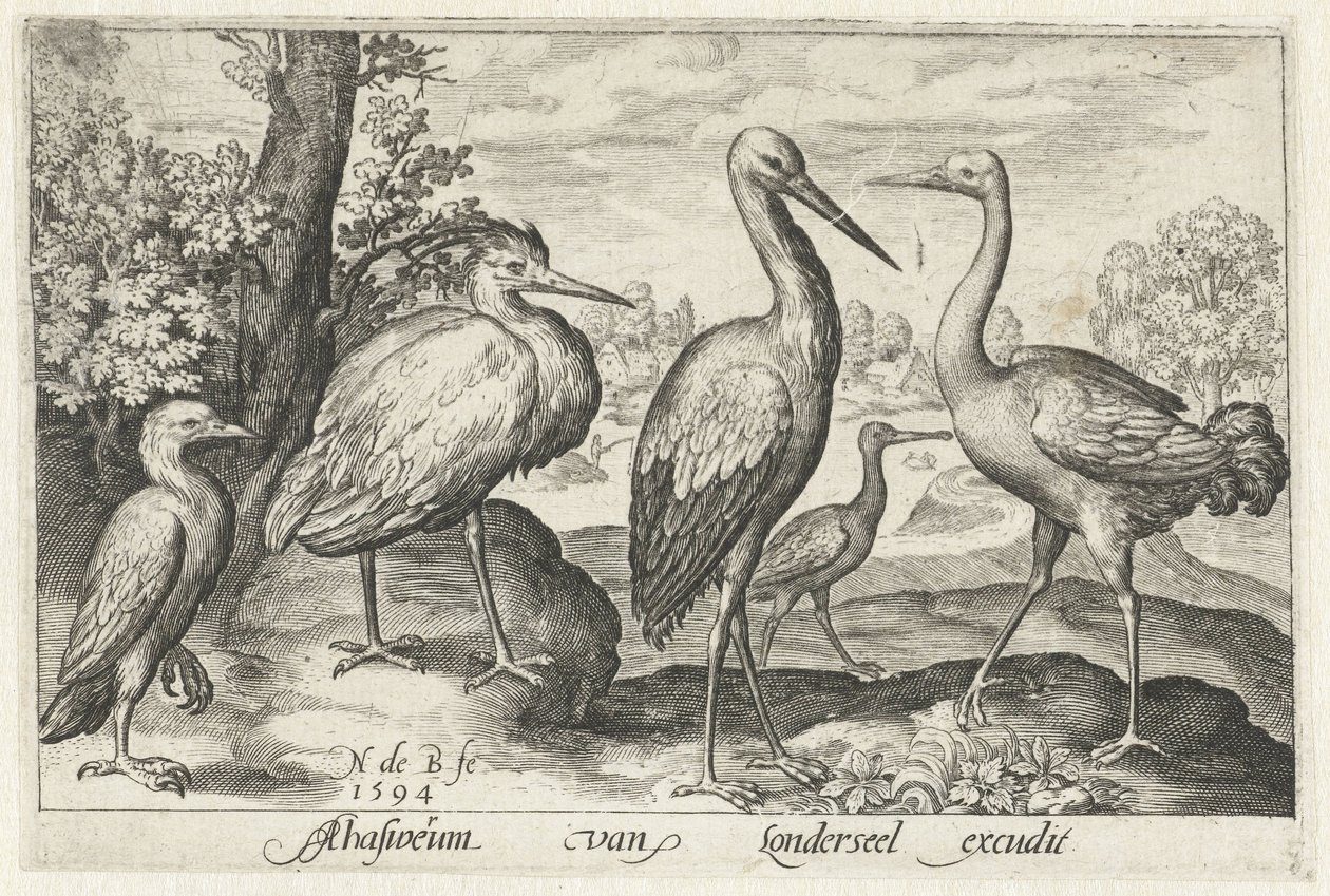 Cigogne, grue, héron et spatule - Nicolaes de Bruyn