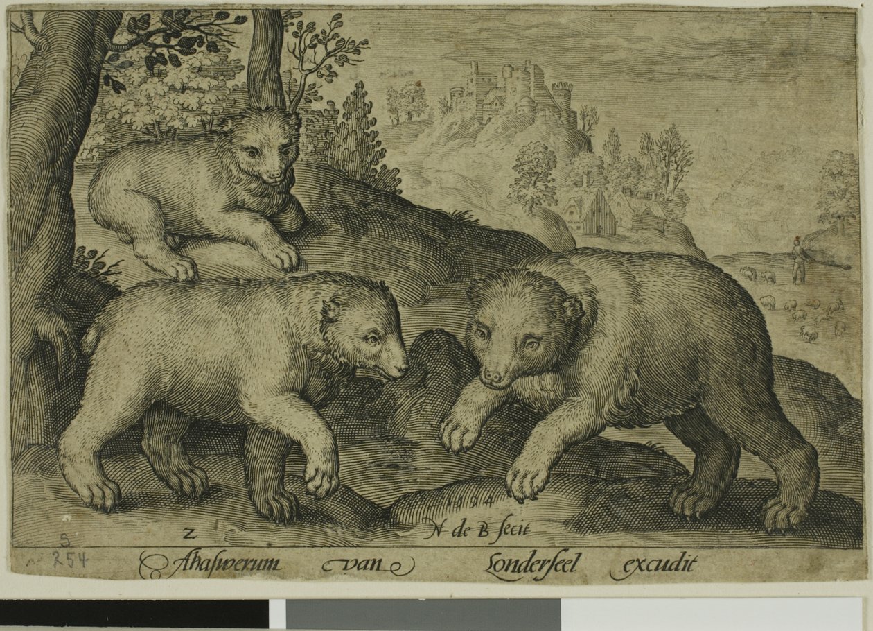 Trois ours, planche dix de Quatre animaux à quatre pattes - Nicolaes de Bruyn