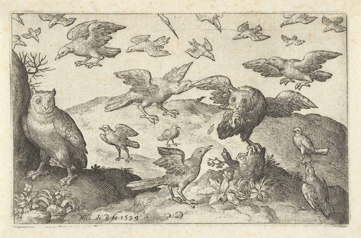 Hibou avec proie attaqué par d