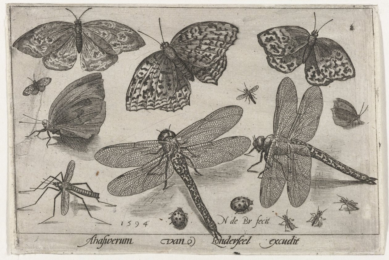 Papillons et libellules - Nicolaes de Bruyn