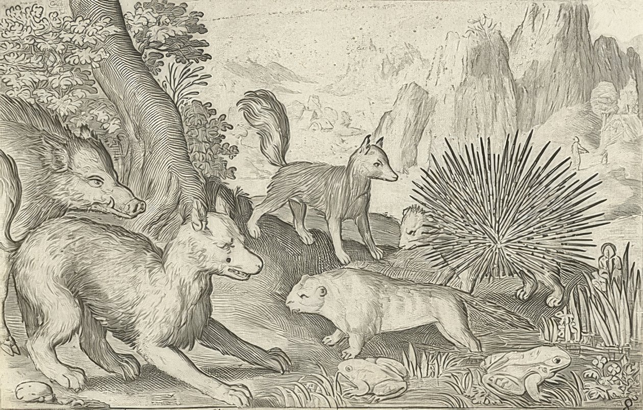 Sanglier, renards, castors, porc-épic et grenouilles. 1621 - Nicolaes de Bruyn