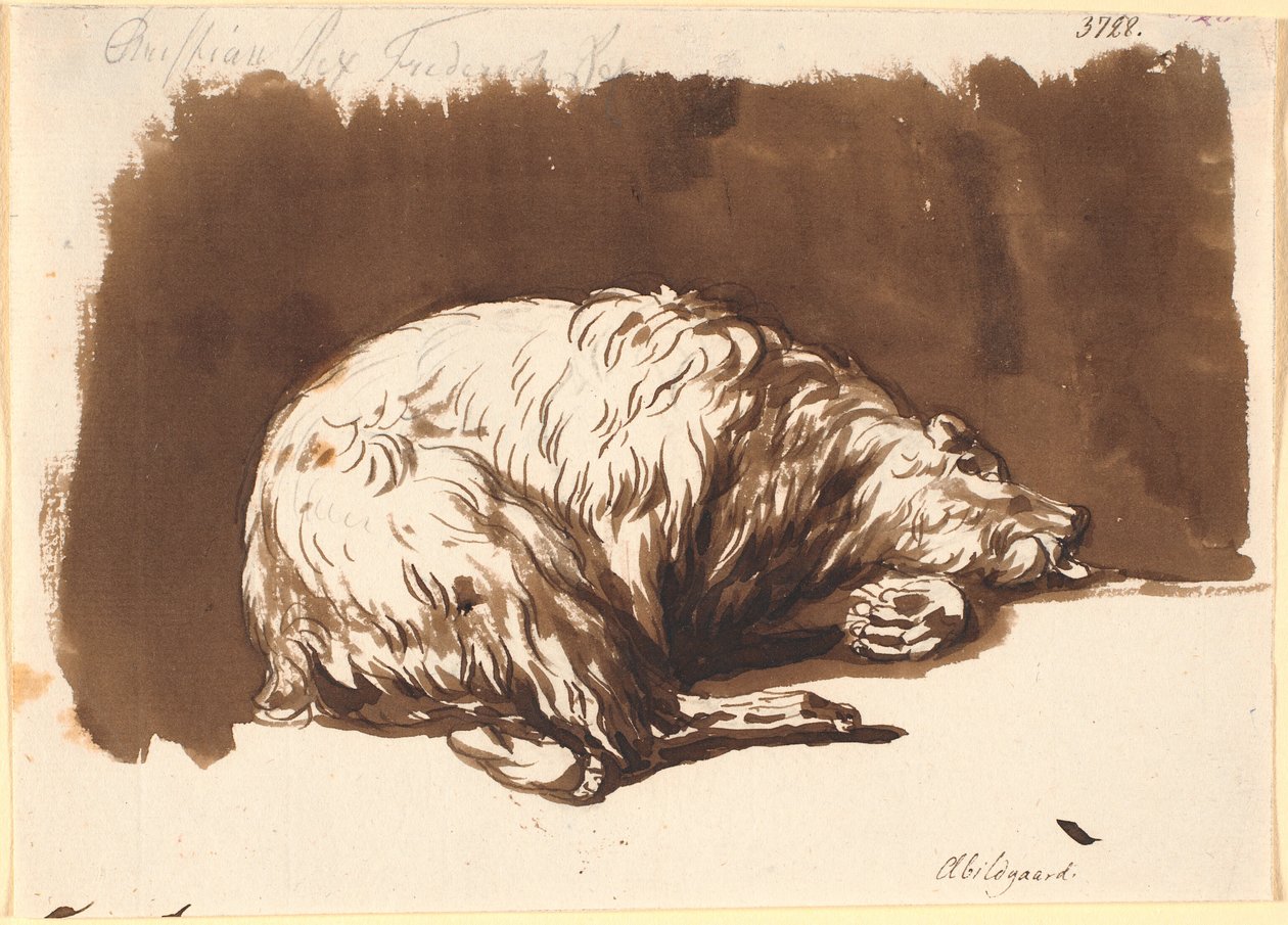 Un ours couché - Nicolai Abildgaard