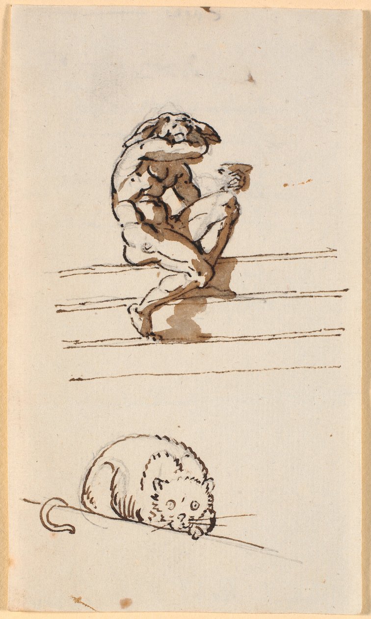 Étude de Lucius avec une tête d