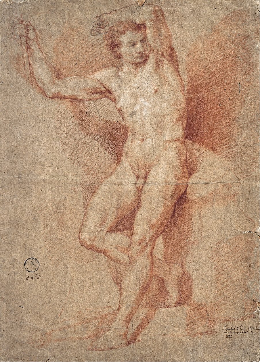 Homme nu debout - Nicolas Guibal