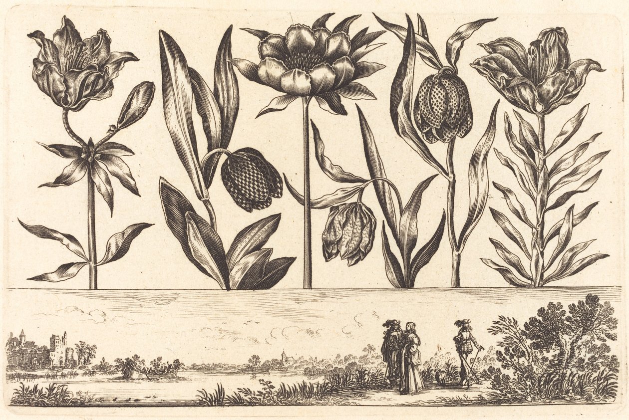 Impression de fleurs n°11 - Nicolas Cochin after Balthasar Moncornet
