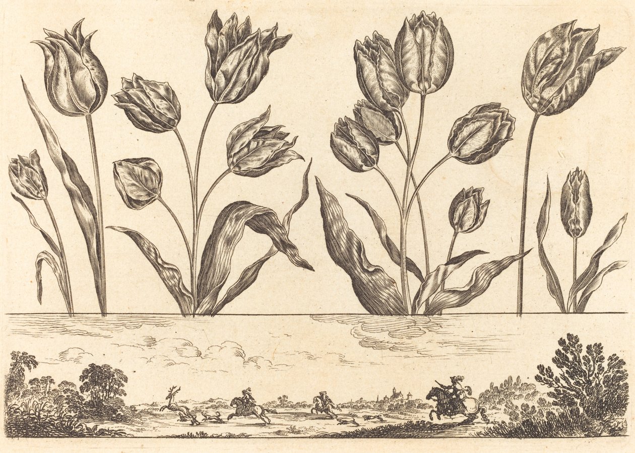 Impression de fleurs n°12 - Nicolas Cochin after Balthasar Moncornet
