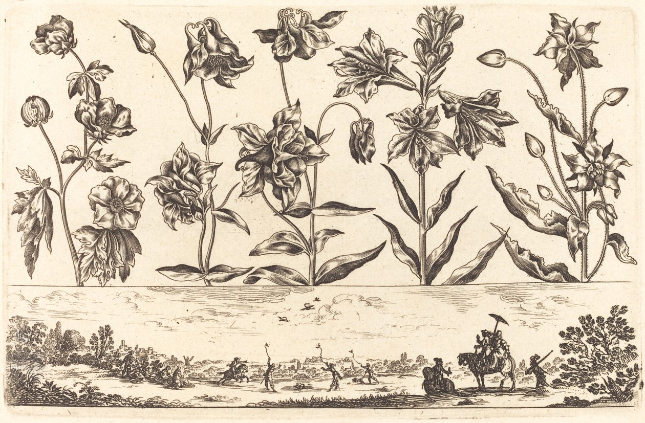 Impression de Fleurs n°6 - Nicolas Cochin after Balthasar Moncornet