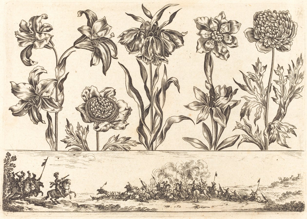 Impression de Fleurs n°8 - Nicolas Cochin after Balthasar Moncornet